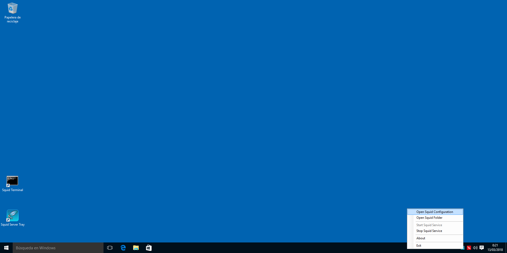 Iconos creados por el instalador de Squid